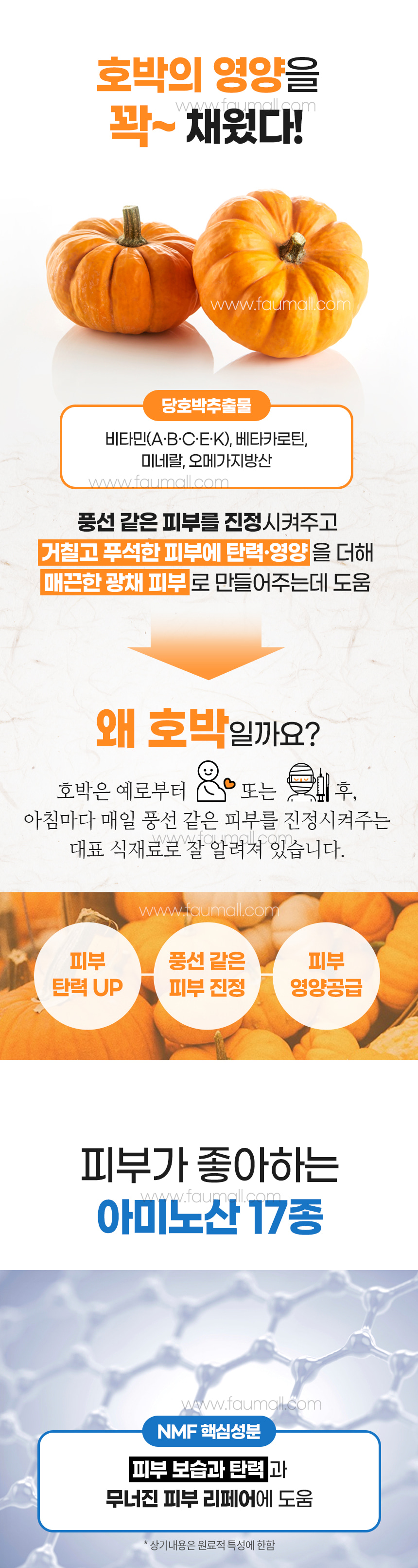 파우 샤이니 펌킨 크림 상세 안내 4