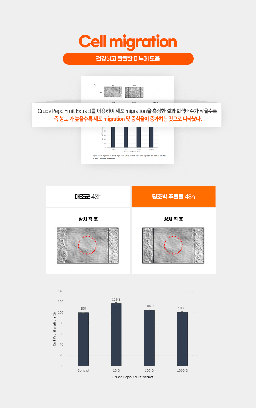 파우 비건화장품 상세 안내 11