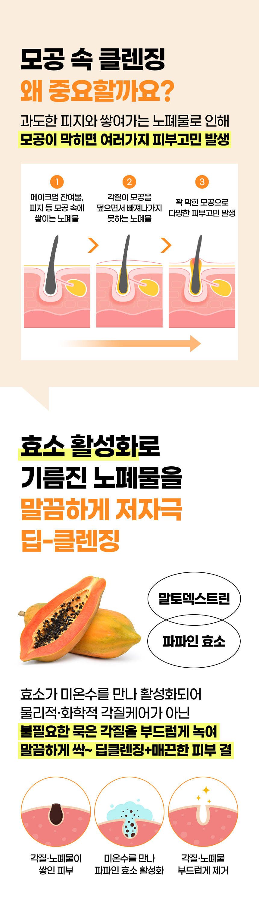 파우 샤이니 펌킨 엔자임 파우더 워시 상세 안내 4