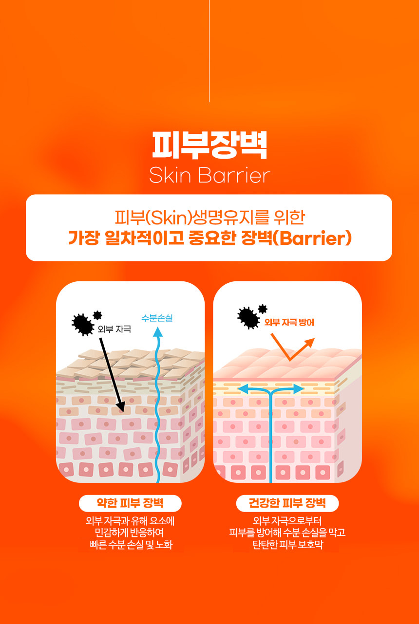 파우 샤이니 펌킨 세라 리페어 크림 상세 안내 4