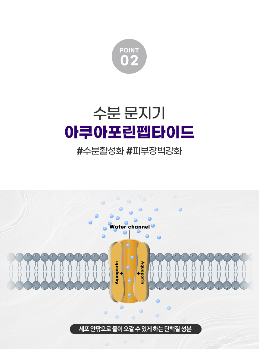 파우 디 시그니처 필 업  비비 상세 안내 8
