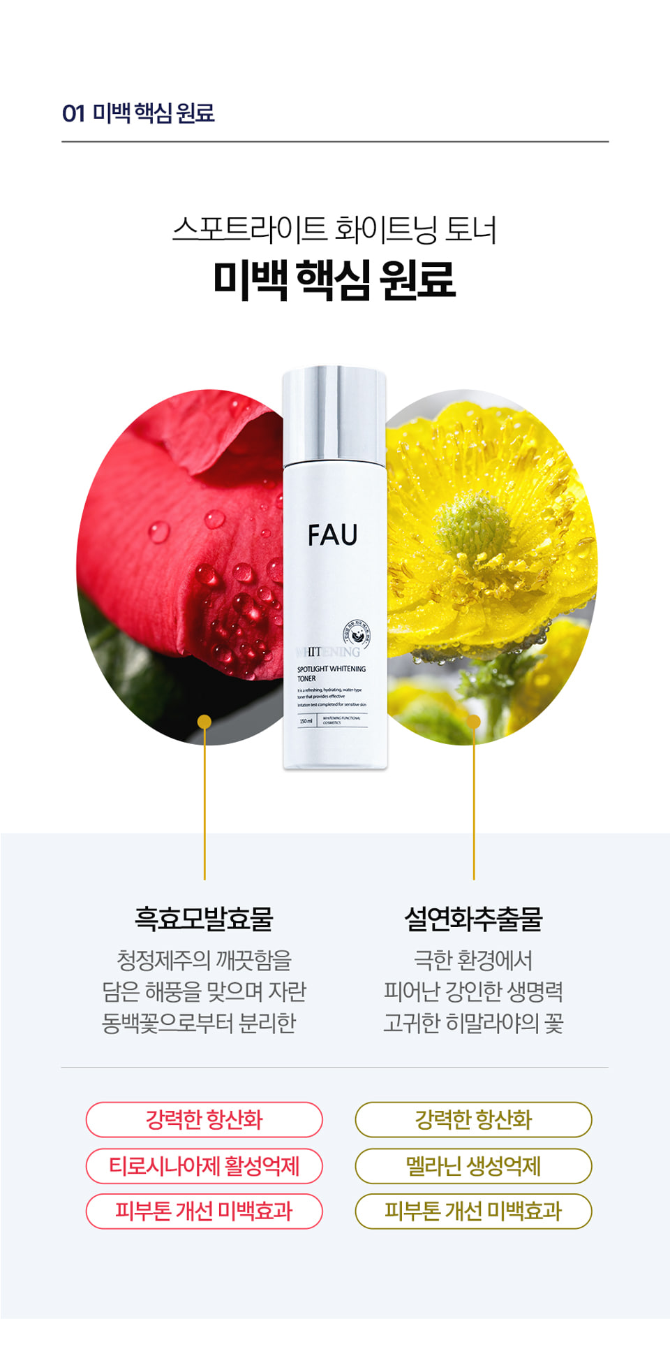 파우 스포트라이트 화이트닝 토너 상세 안내 4