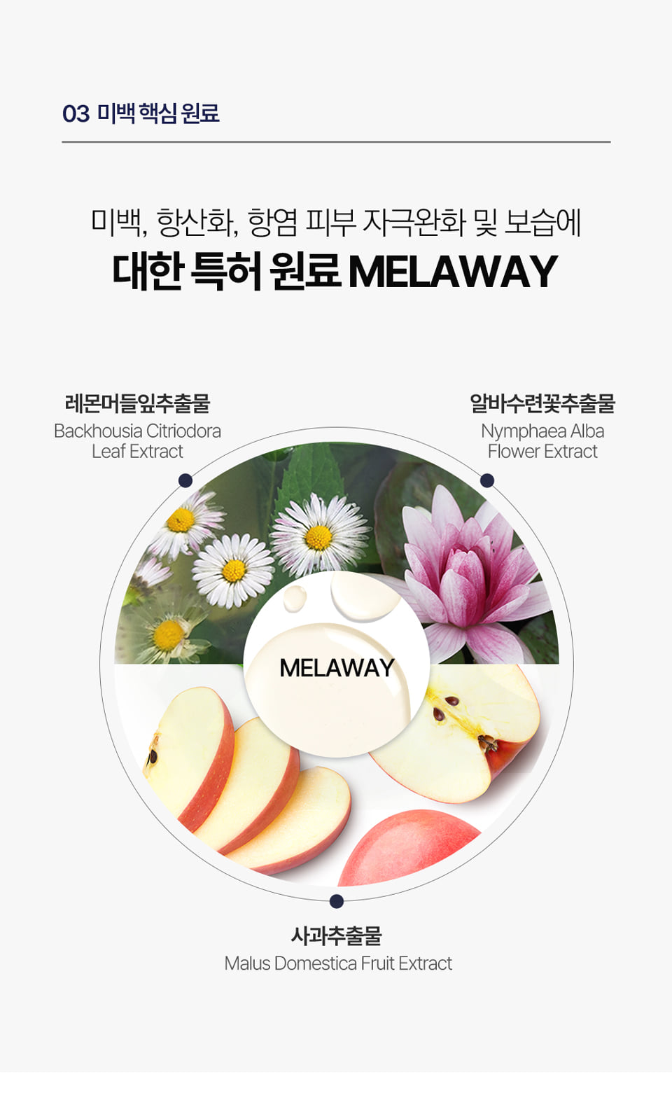 파우 스포트라이트 화이트닝 토너 상세 안내 6