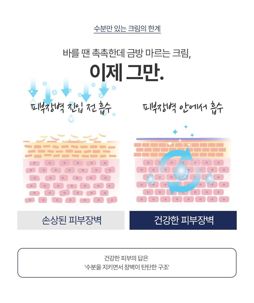 파우 멀티 액티브 뉴트리션 크림 상세 안내 2