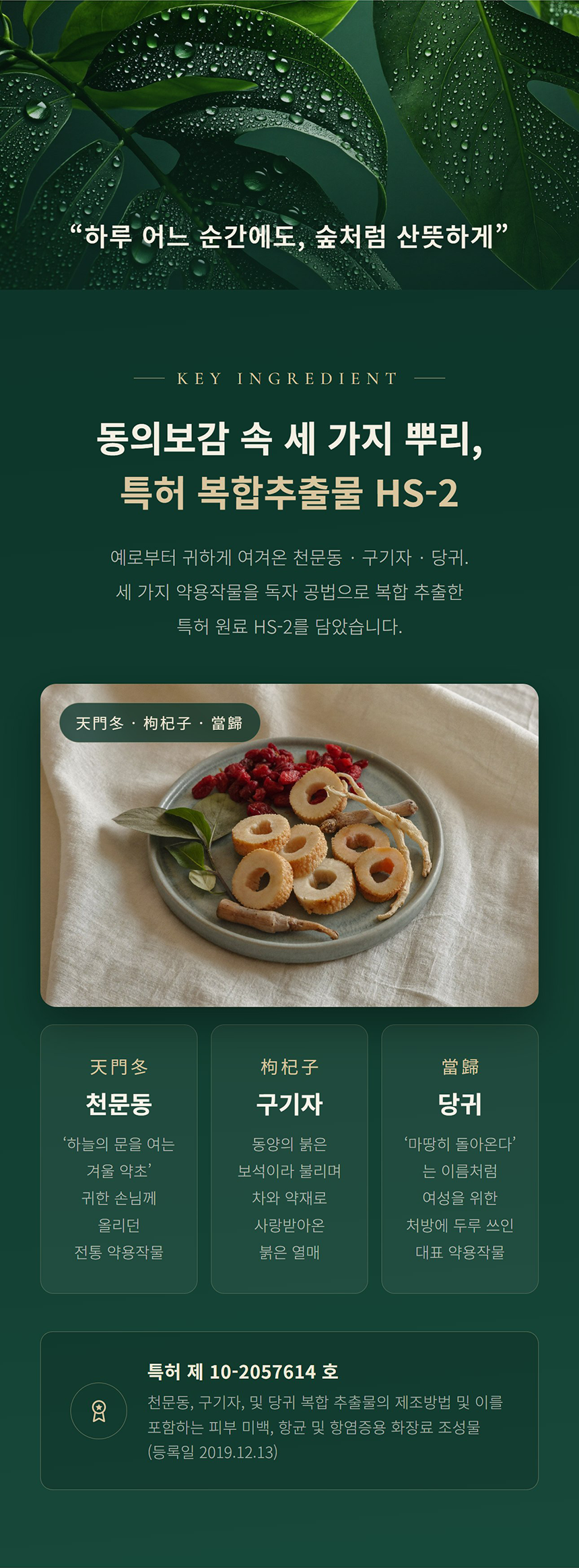 인티 밸런스 세럼 미스트 상세 안내 5