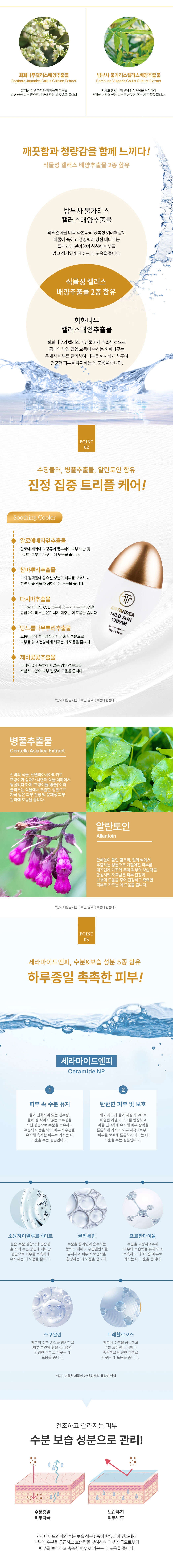 TTT 안텐데 마일드 선 크림 상세 안내 2