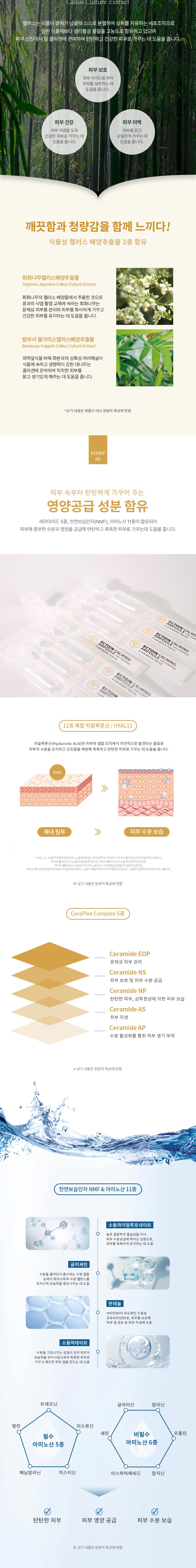 TTT 엑토인 카밍 앰플 상세 안내 2